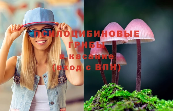 тгк Арсеньев