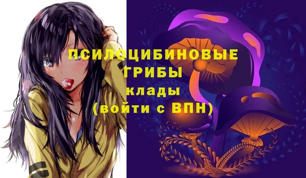 прущий лед Армянск
