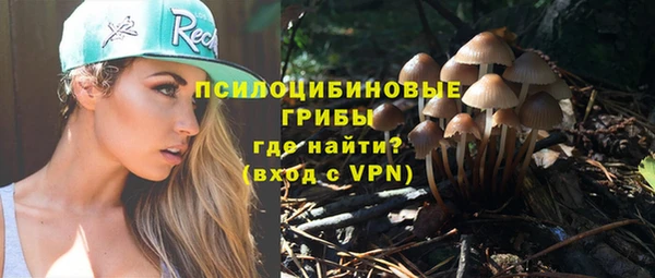 прущий лед Армянск