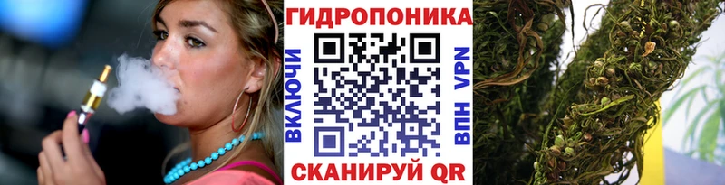 МАРИХУАНА OG Kush  MEGA вход  shop клад  Карабаш 